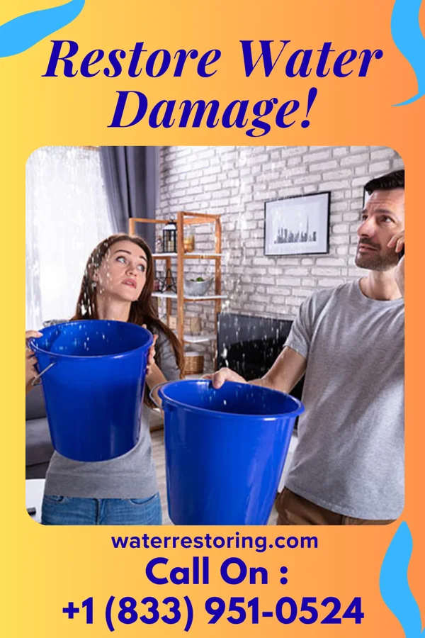 water restoration Patriot Water Solutions & Associates East Newark