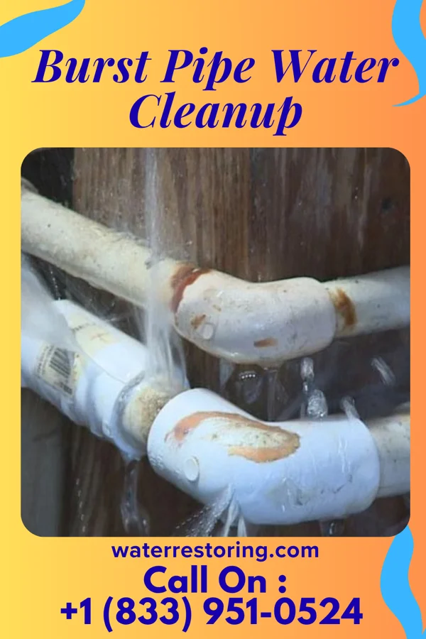 Burst Pipe Water Cleanup in East Newark, NJ