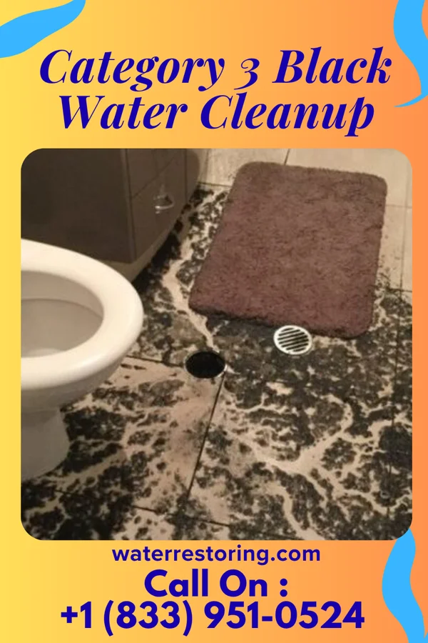 Category 3 Black Water Cleanup in East Newark, NJ
