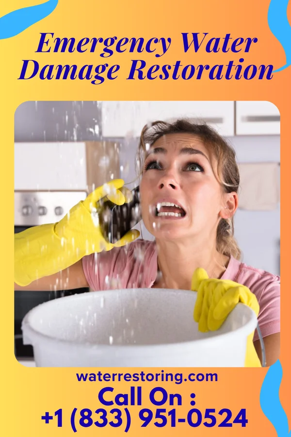 Emergency Water Damage Restoration in East Newark, NJ
