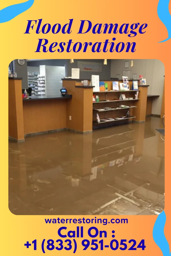 Flood Damage Restoration in East Newark, NJ