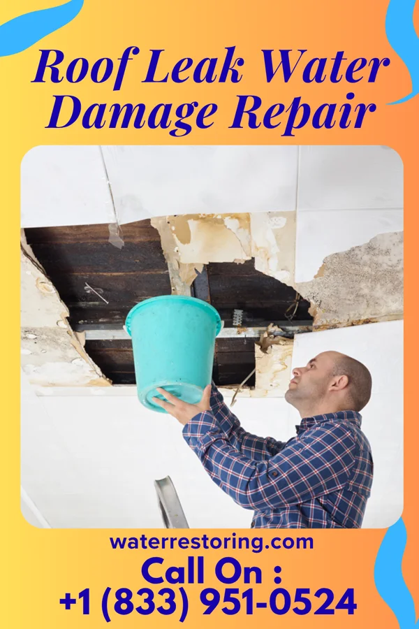 Roof Leak Water Damage Repair in East Newark, NJ