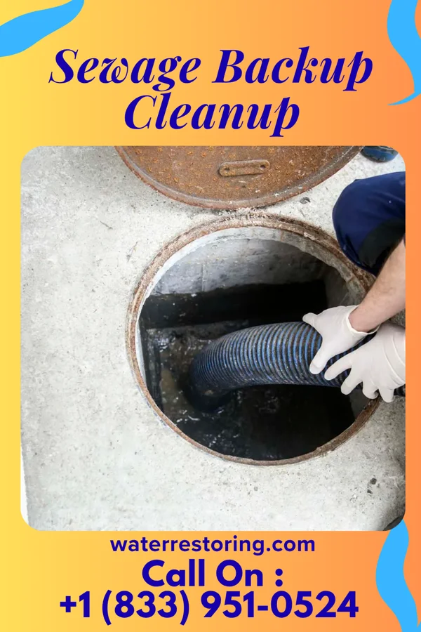 Sewage Backup Cleanup in East Newark, NJ